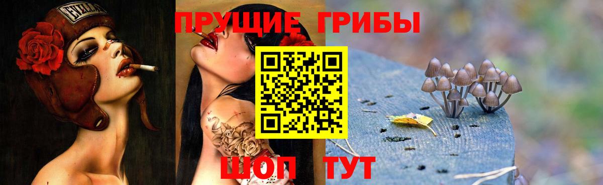Владикавказ  Галлюциногенные грибы мицелий  Псилоцибиновые грибы Magic Shrooms  Вход с VPN 